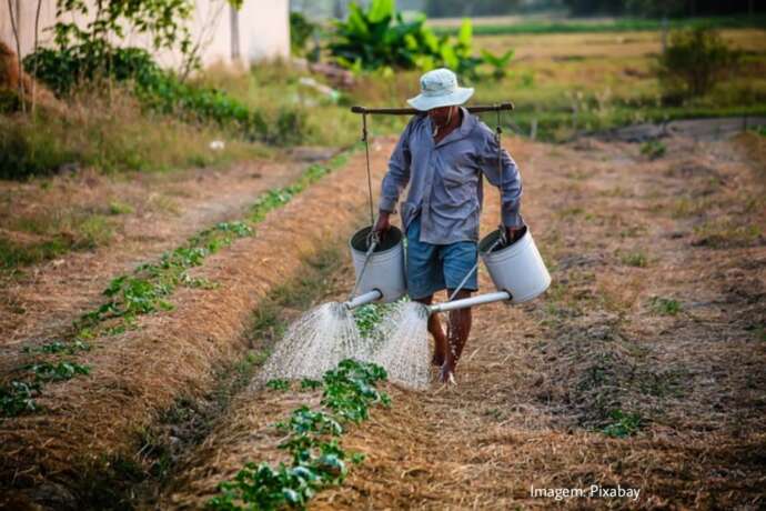 Altas temperaturas e o trabalhador rural