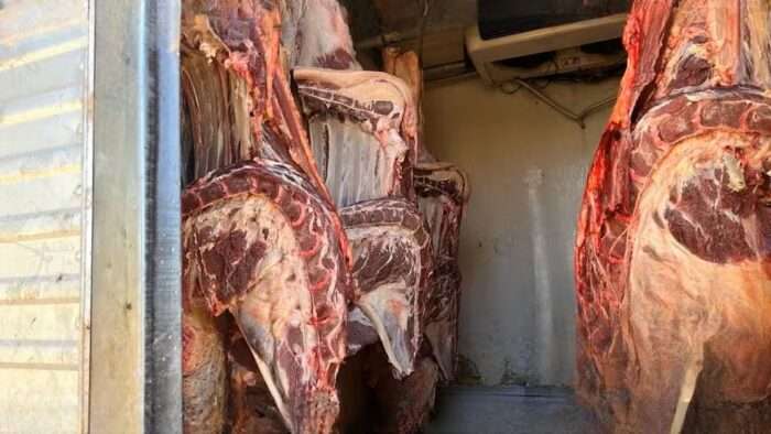 Polícia fecha abatedouro clandestino e apreende 770 kg de carne em Pará de Minas