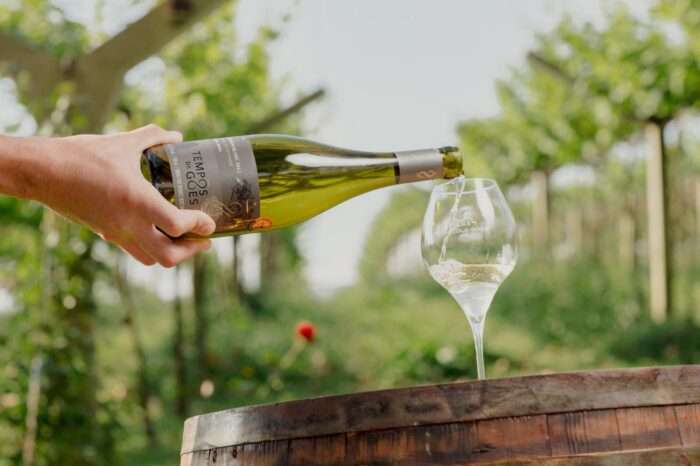Vinhos de São Roque conquistam 24 medalhas na Grande Prova Vinhos do Brasil 2025