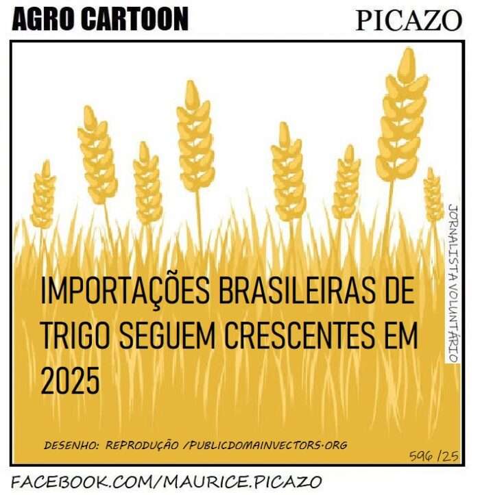 AgroNotícias: Importações de trigo