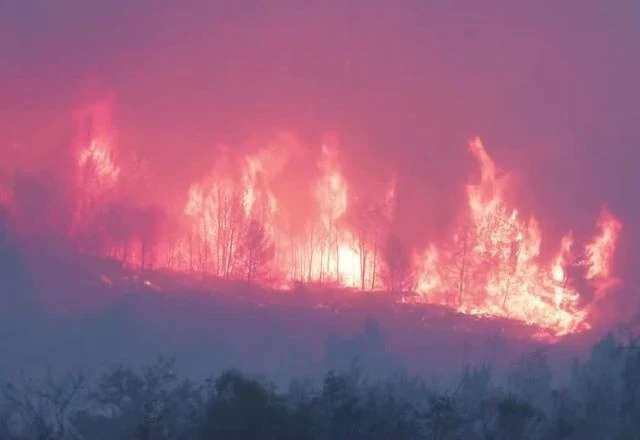 Incêndio florestal devasta região no sul da França e deixa mortos e feridos