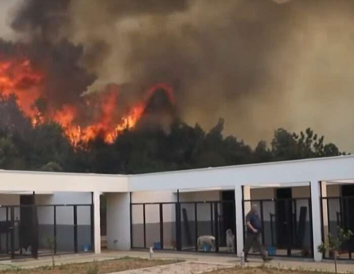 Incêndios na Espanha: evacuação em massa e temperaturas extremas aumentam o alerta