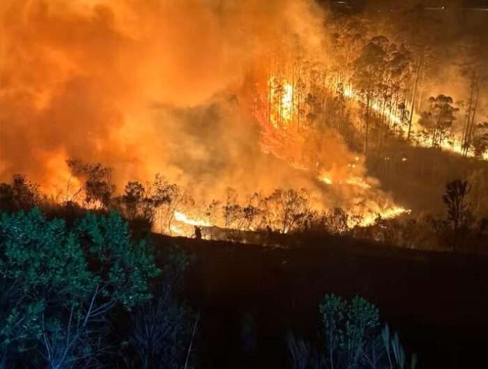 Incêndio de grande proporção alcança mata próxima ao Aeroporto Catarina em São Roque