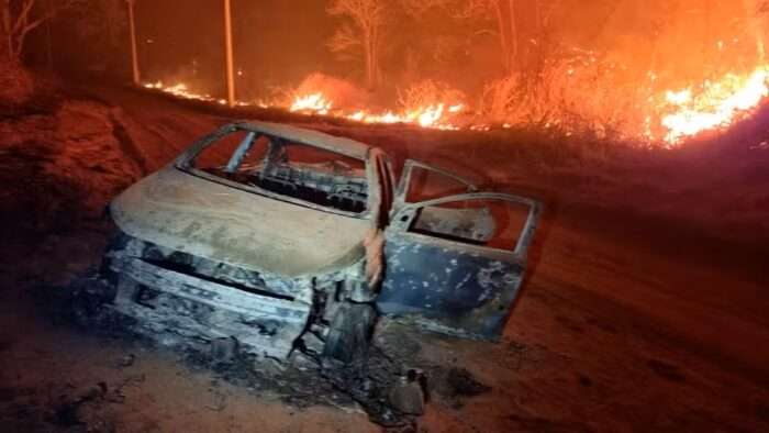 Incêndio na Flona de Ipanema devasta mata, afeta fauna e mobiliza equipes de resgate