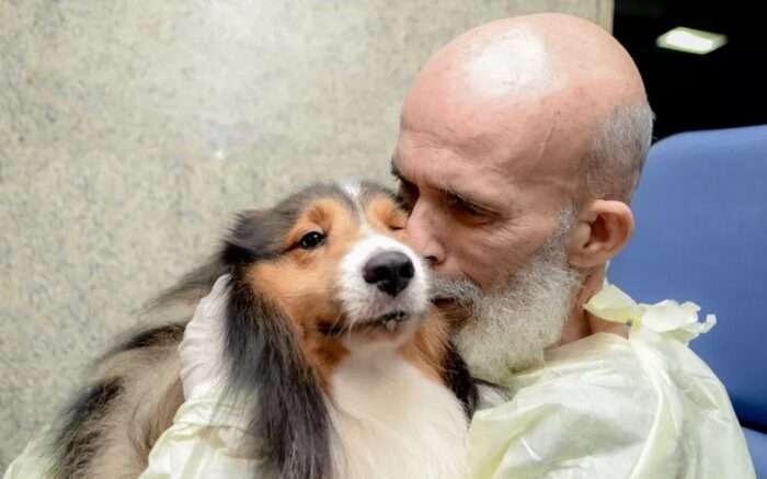 Cães conseguem detectar câncer, Alzheimer e Parkinson pelo cheiro do corpo humano