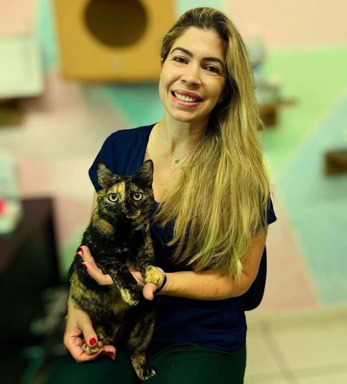 Dirofilariose: o perigo silencioso transmitido por mosquitos aos cães, gatos e humanos