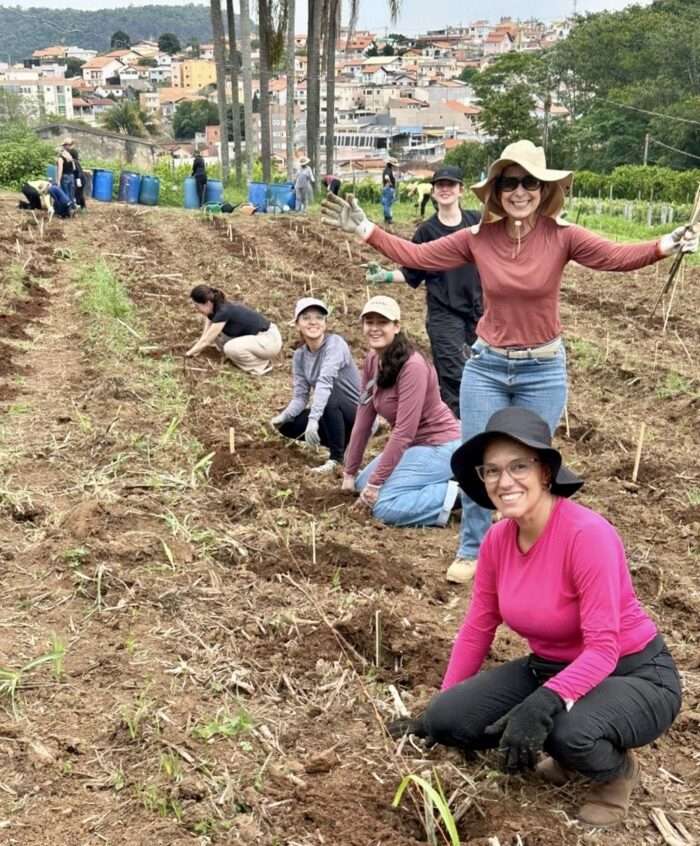 Novo vinhedo agroecológico é implantado em São Roque com parceria entre iniciativa pública e privada