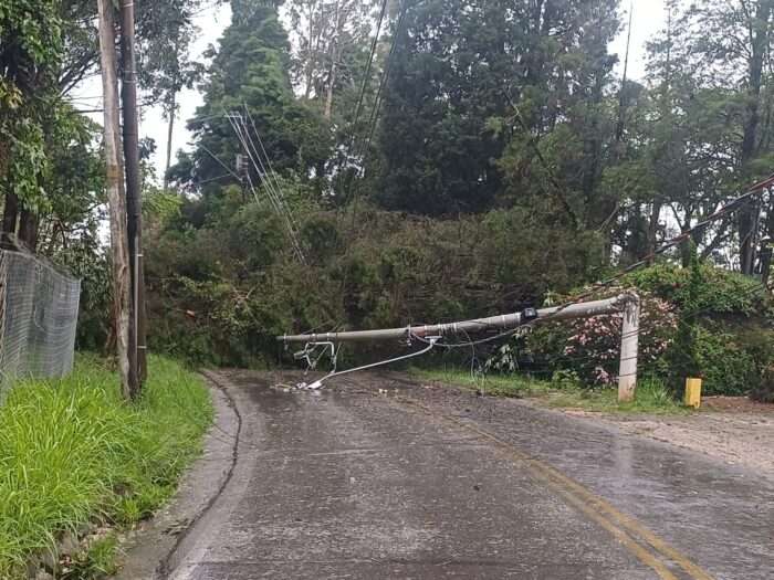 Árvore e Poste Caídos na Estrada do Vinho em São Roque