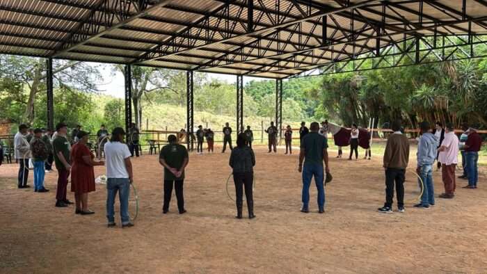 Projeto em São Roque Fortalece Bem-Estar de Idosos com Interação com Cavalos