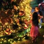 Primeira Semana Do Natal Alegre Encanta São Roque Com Luzes, Atrações e Ações Sociais