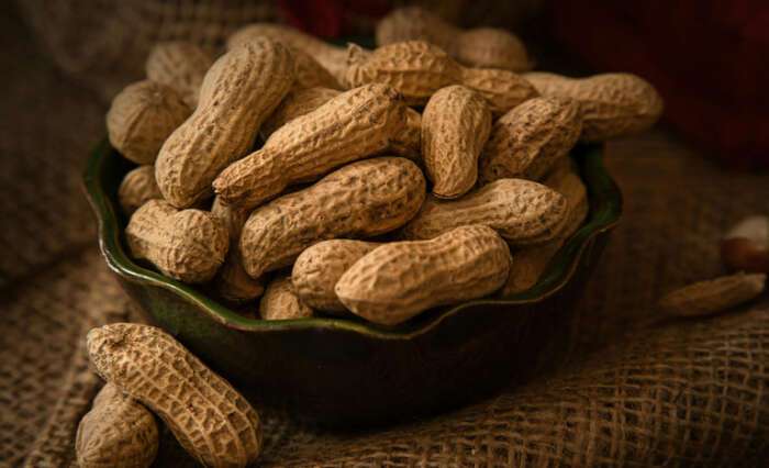 Agro em foco: Governo cria câmara do amendoim, crédito rural cresce e arroz entra em debate