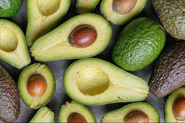 Agro brasileiro amplia exportações com novas aberturas de mercado e registra trimestre histórico em 2026