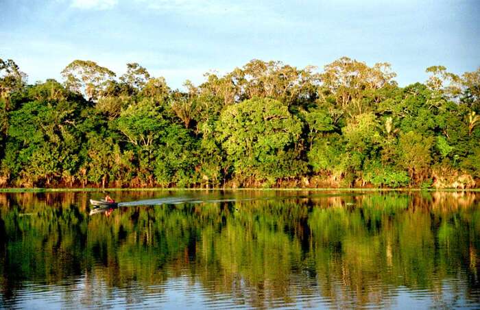 Governo mobiliza bancos para combater desmatamento na Amazônia com nova regra de crédito