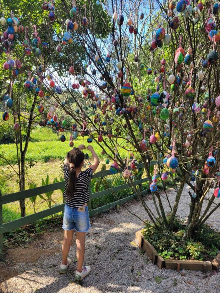 Páscoa 2026 no Roteiro do Vinho de São Roque tem degustações de vinhos, chocolates e atrações para crianças