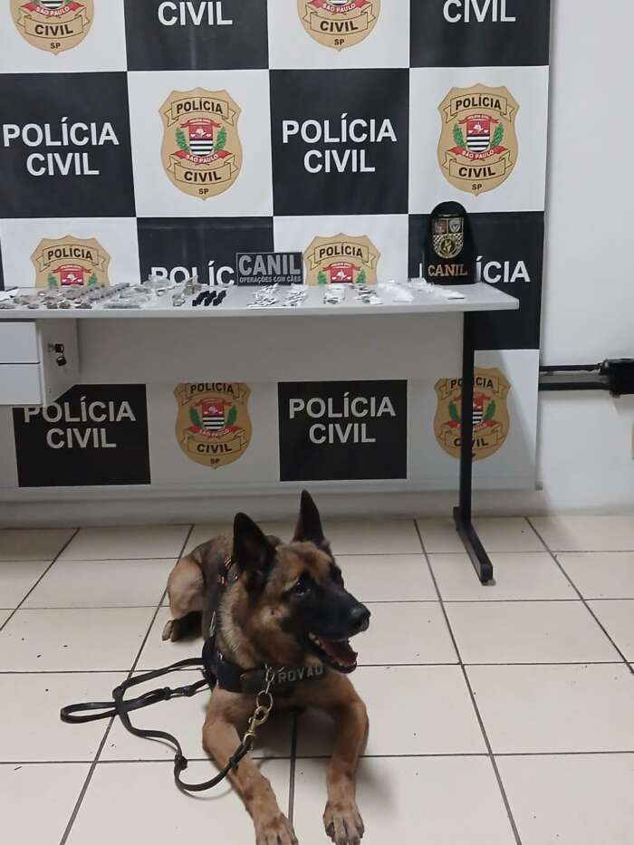 Polícia Civil e Guardas Municipais apreendem drogas e prendem suspeito por tráfico em Maylasky