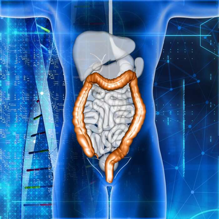 Novo exame do SUS vai ampliar rastreamento do câncer de intestino no Brasil