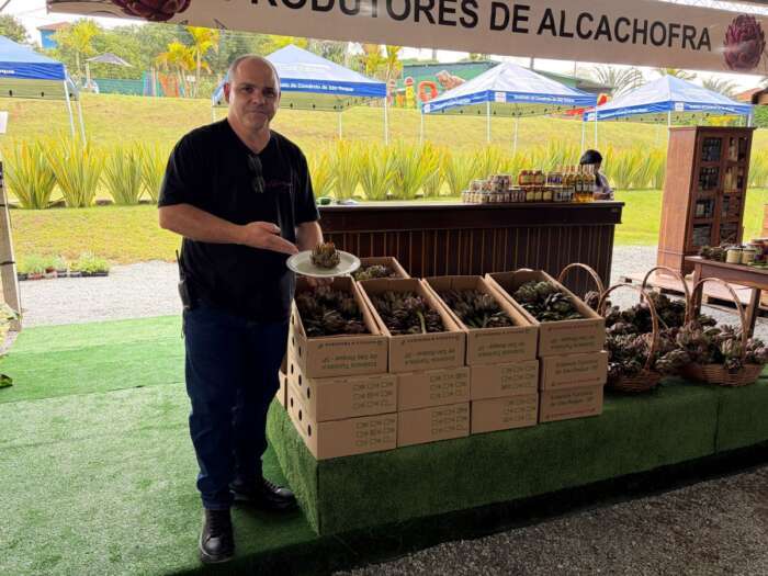 São Roque Celebra Tradição e Sabor com Festival da Alcachofra, Vinho e Mel: Entrada Gratuita até 2 de Novembro